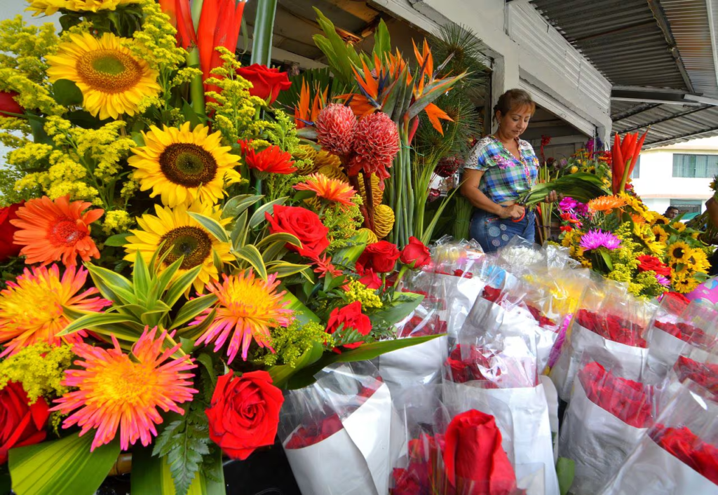 Colombian flower exports bloom 10% on Mother’s Day
