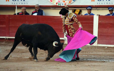 Debate sobre prohibición de corridas de toros en Colombia nuevamente aplazado por falta de quórum