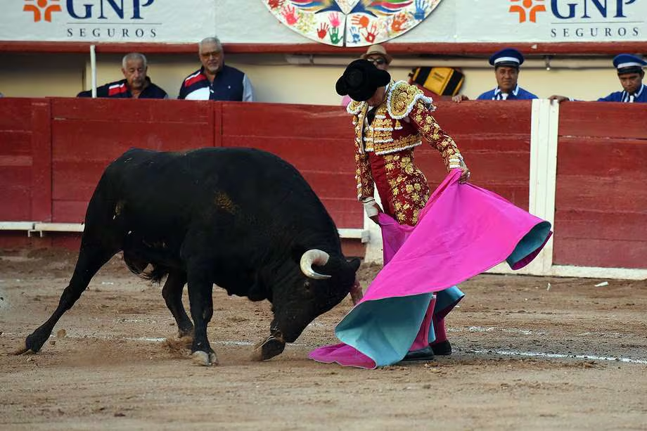 Debate sobre prohibición de corridas de toros en Colombia nuevamente aplazado por falta de quórum