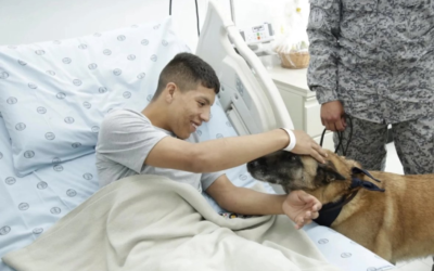 ‘Paco’ y ‘Kratos’: Los héroes de cuatro patas que brindan apoyo emocional a militares heridos en Arauca