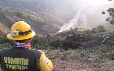 Incendios forestales en Colombia: 8 focos activos