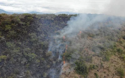 Persisten los incendios forestales en el departamento del Huila