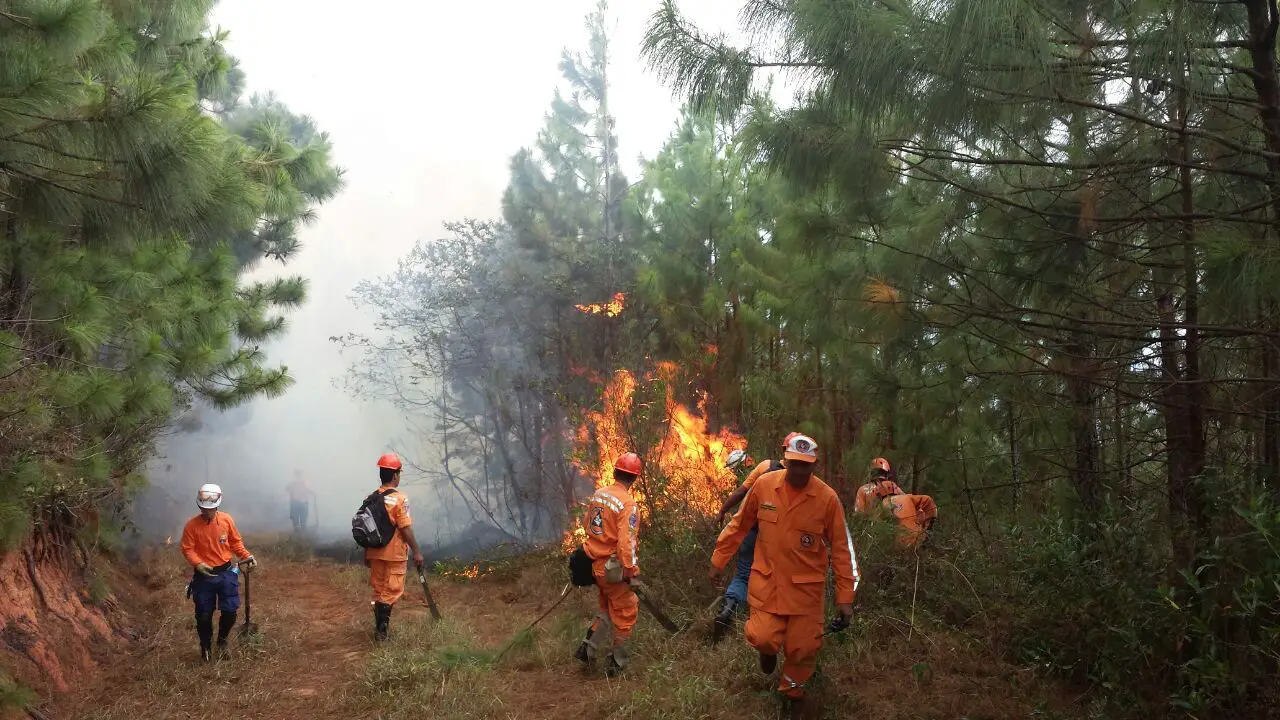 En un 11 % se han reducido los incendios en Colombia