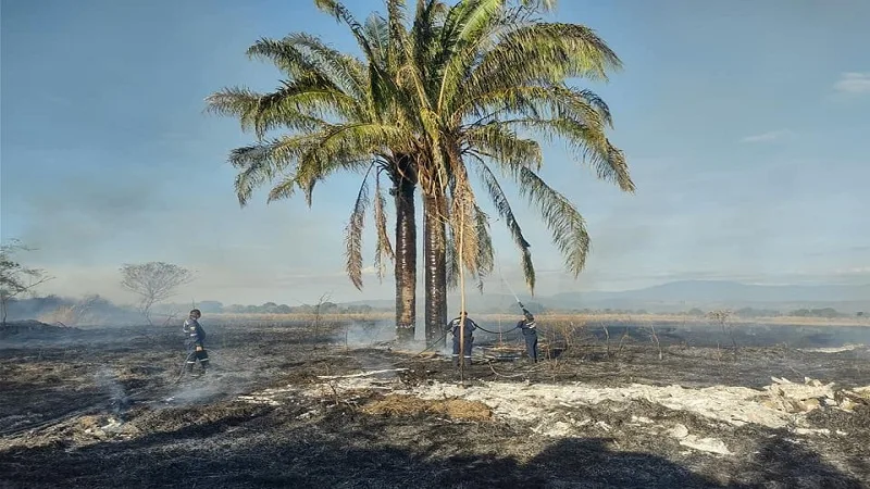 Municipios del Huila más afectados por los incendios