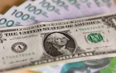 Después de seis meses, el dólar empieza a retroceder
