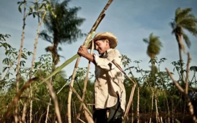 Ganaderos proponen más tierras para Reforma Agraria