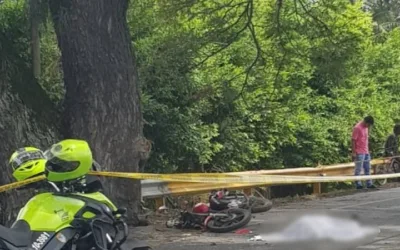 Toro llevó a la muerte a un motociclista