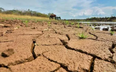 ‘El Niño’ y sus impactos en el agro