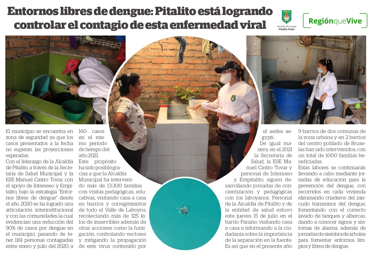 Entornos libres de dengue: Pitalito está logrando controlar el contagio de esta enfermedad viral