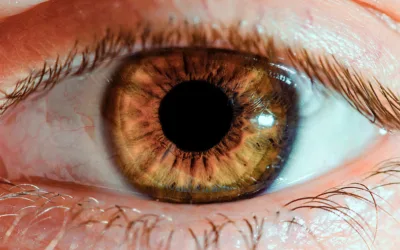 Los primeros signos de alzhéimer podrían aparecer en los ojos