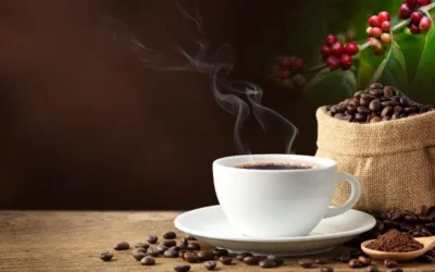 Acuerdos para potencializar la cadena productiva del café