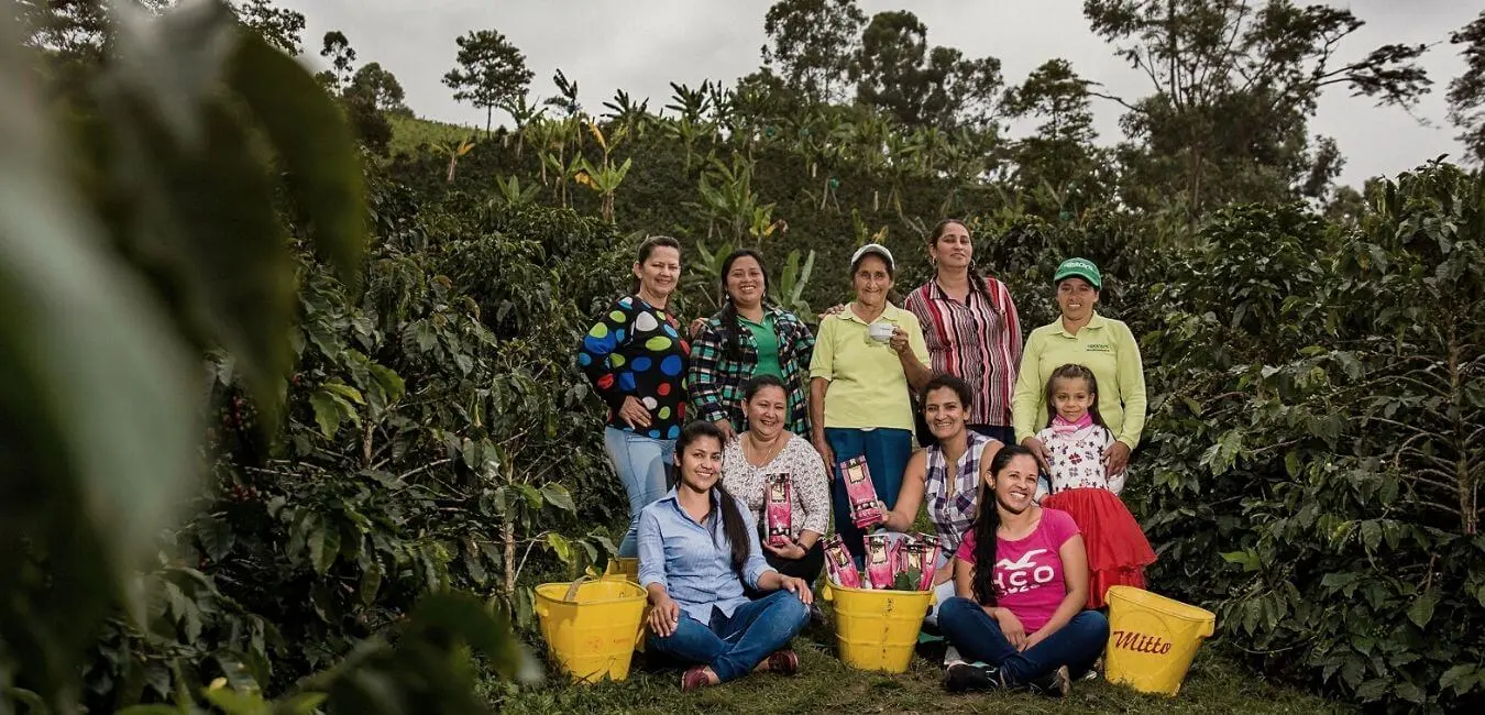 Mujeres huilenses protagonistas en Cafés de Colombia