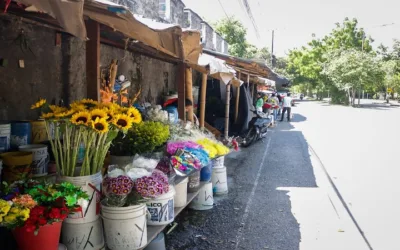 Vendedores de flores del cementerio  de Neiva serán reubicados